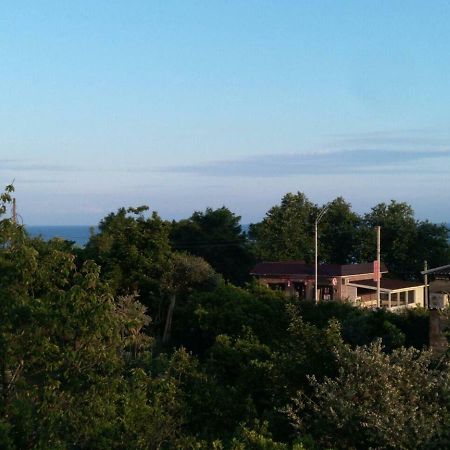 Guest House Nika New Athos Exterior foto